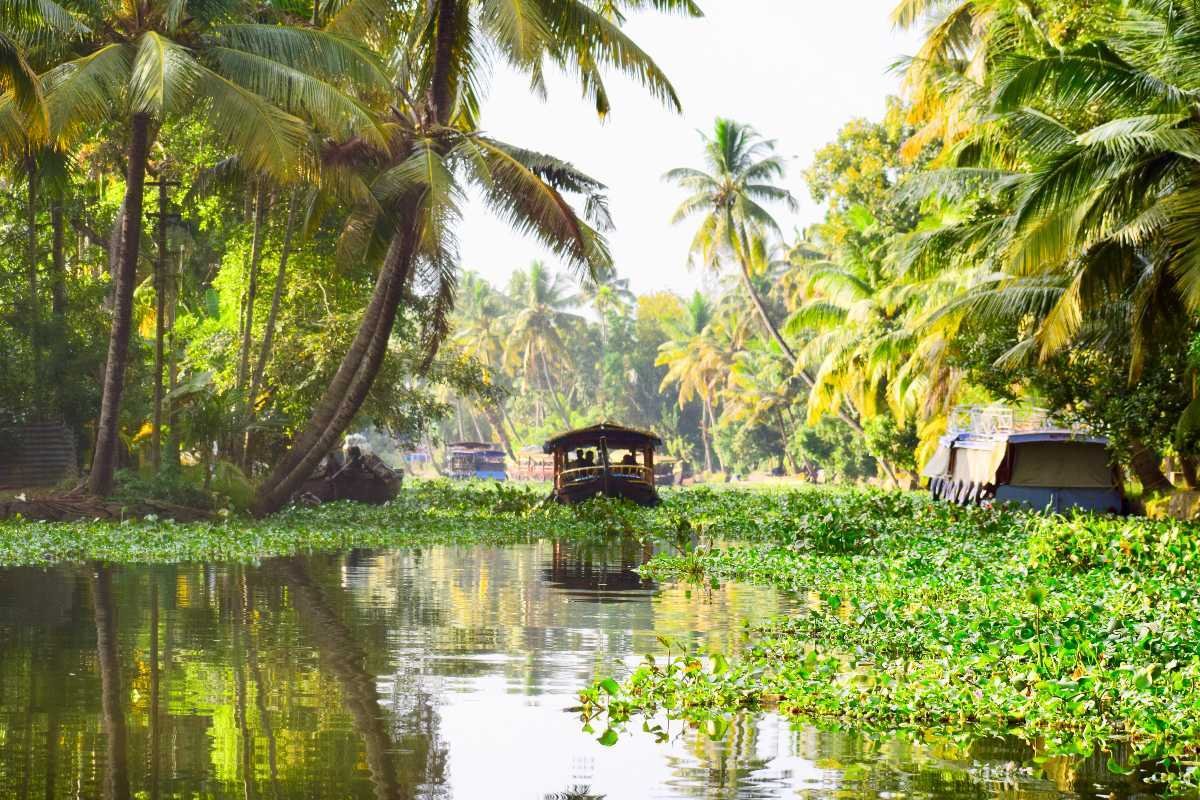 Alleppey Backwaters
